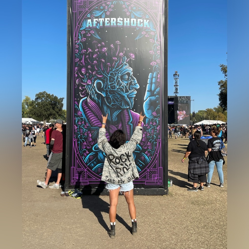 Mystery rock bundle. 3 plus items valued at $$$$ asking $75